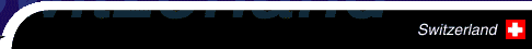Perl Internet Interactive Solutions Company