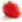 Strawberry Perl